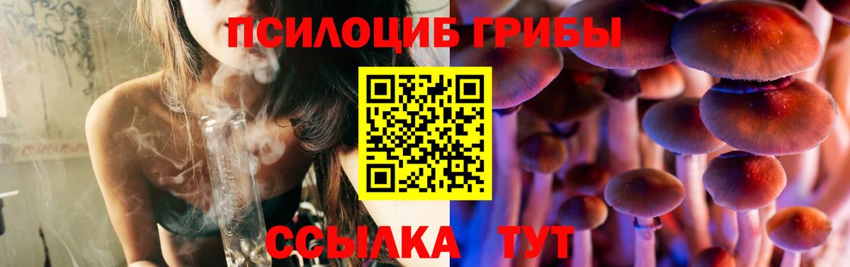 Моздок  Галлюциногенные грибы Psilocybe  Вход с VPN 