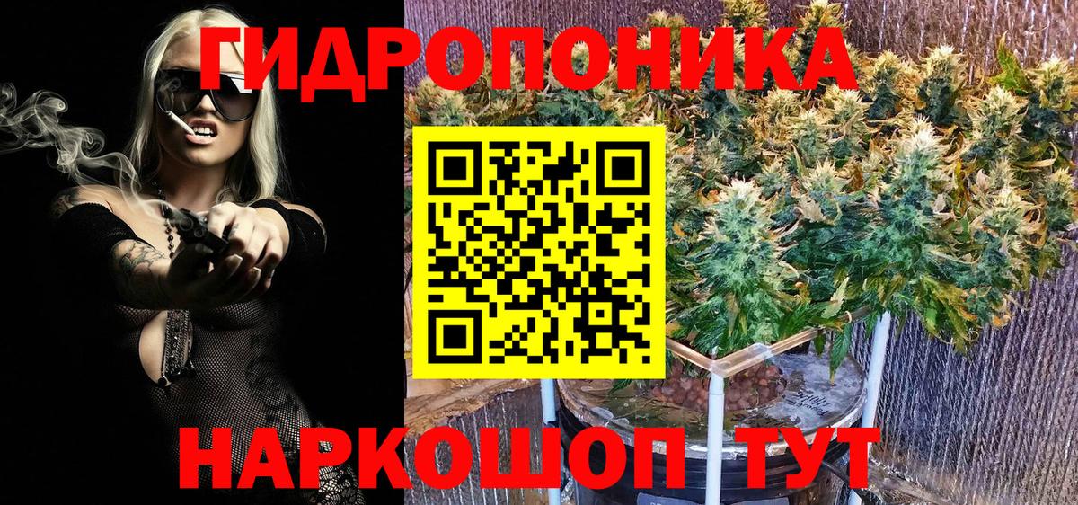 Моздок  Бошки марихуана индика  Конопля Bruce Banner  Канабис план  Шишки марихуана ГИДРОПОН  Вход с VPN 